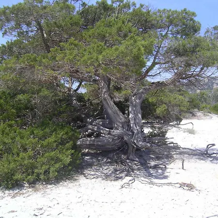 Apartment Casa Su Rimediu